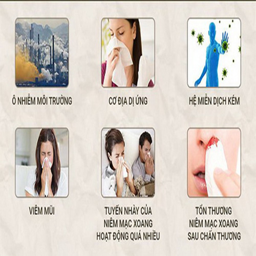 Một số nguyên nhân gây viêm mũi dị ứng