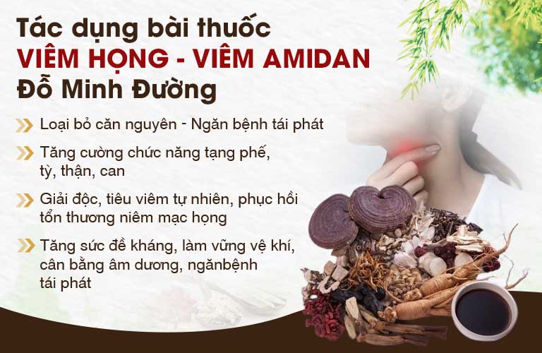 Tác dụng bài thuốc Viêm Amidan Đỗ Minh