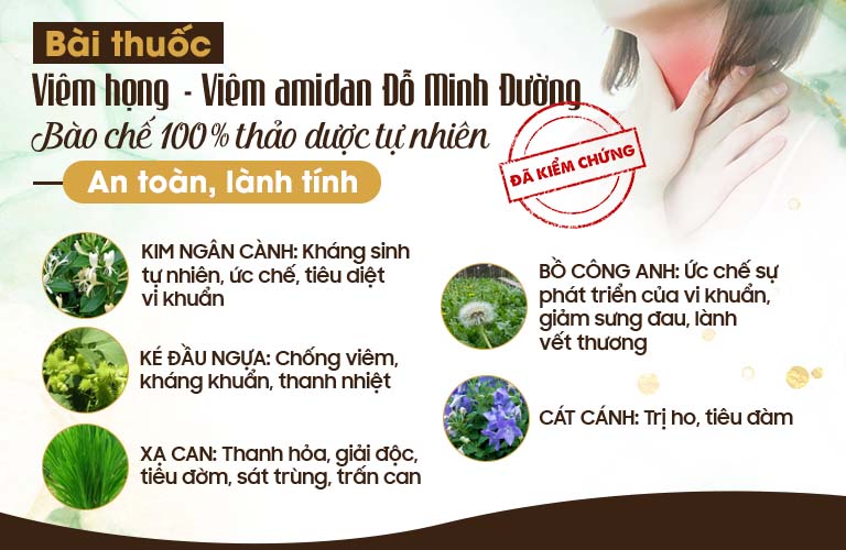 Thành phần bài thuốc Viêm Amidan Đỗ Minh