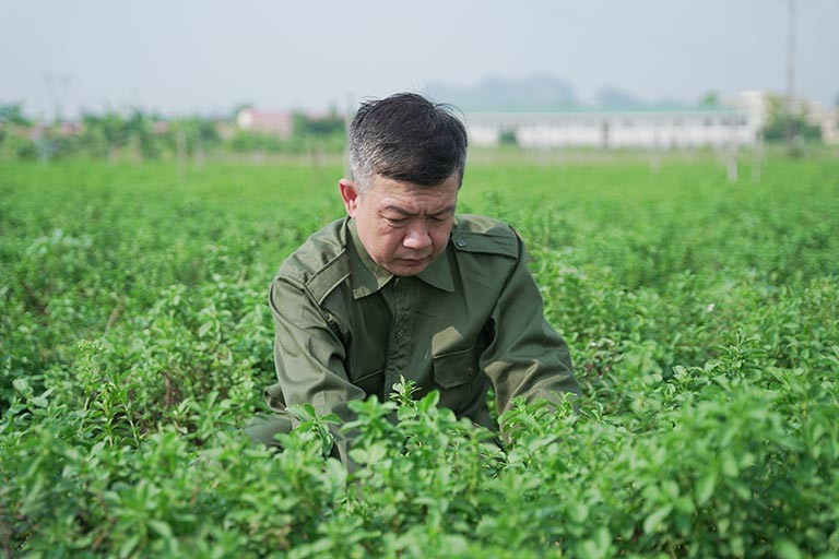 Lương y Đỗ Minh Tuấn tâm huyết với cây Thuốc Việt