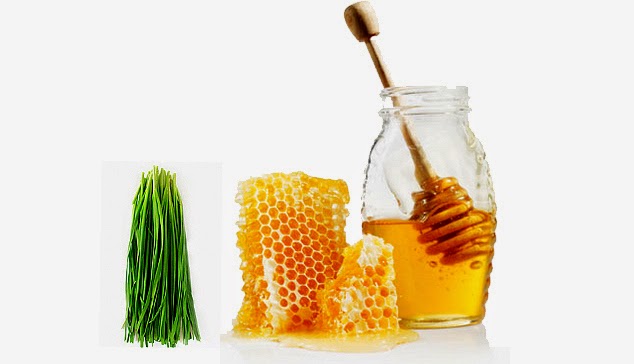 Cách chữa viêm họng ngay tại nhà bằng mật ong hấp lá hẹ