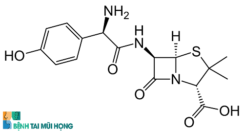 Công thức hóa học của Amoxicillin khi đem phân tích trong phòng thí nghiệm