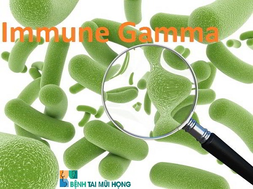 Cơ chế tác động của ImmuneGamma