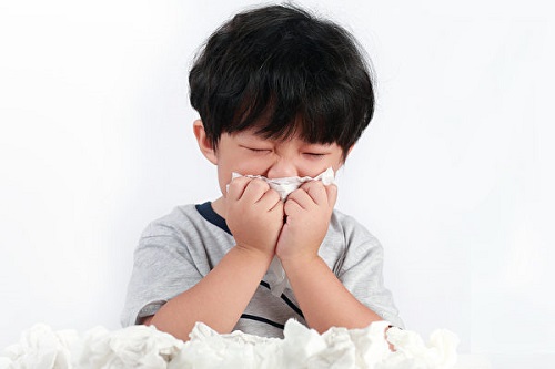 Viêm mũi dị ứng là một trong những bệnh về đường hô hấp phổ biến nhất hiện nay