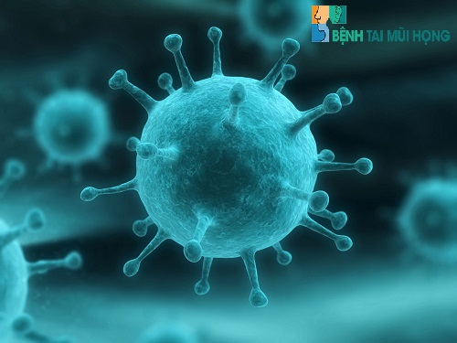 Virus Parainfluenza - 1 trong những loại virus gây viêm họng loét