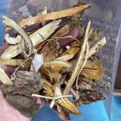 Bài thuốc cần đun sắc khi sử dụng