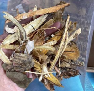 Bài thuốc cần đun sắc khi sử dụng