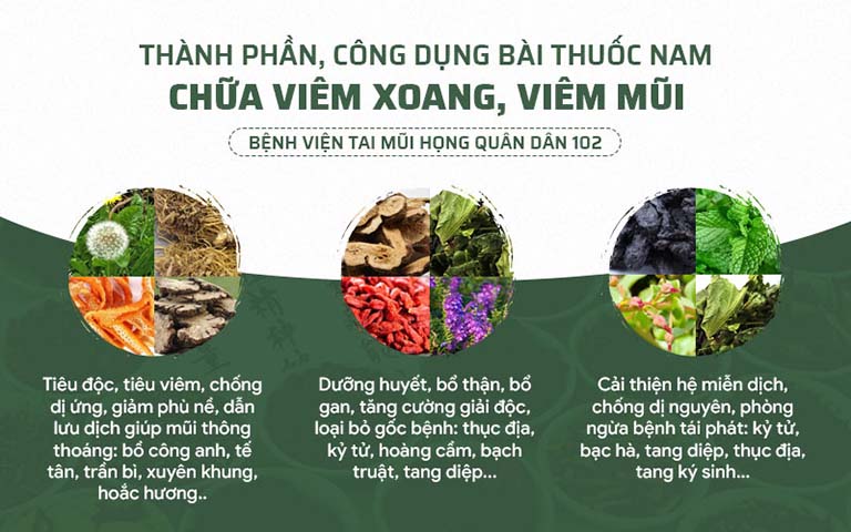 Công dụng một số thành phần chính của bài thuốc