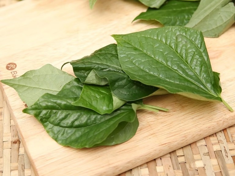 Lá lốt chữa viêm xoang